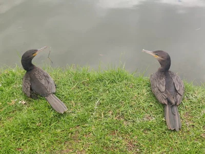 luisianacoxx 🦋 Foto 6