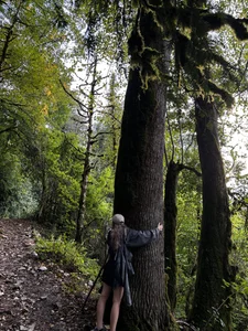 altertyan: lige is good ( 6 фото)