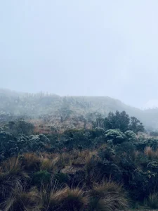 Nick_Archer ❄️ Foto 5