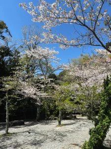 Babe_YK kullanıcısının んmmm albümü -  2 fotoğraf