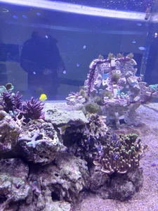 Lia_Roxx: 🤩 ( 6 фото)