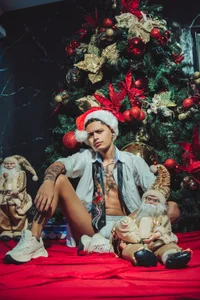 Maxi_Gray Merry christmas Foto 2