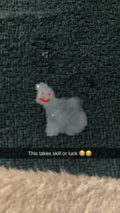 GayMITwink Public Pic 8