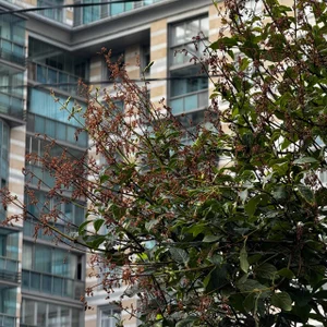 It's just a beautiful selection, because where else will you see it besides my account? od AlexFH  3 snímek