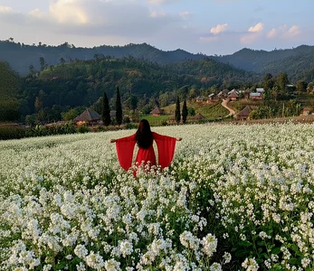 Adiba_2 Adiba's tour صورة واحدة|Adiba_2 Adiba's tour صورتان|Adiba_2 Adiba's tour  5 صور|Adiba_2 Adiba's tour  5 صورة