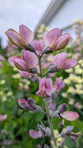 Bo0g: Nature photography ( 3 фото)