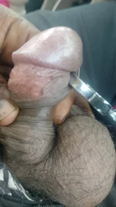 asu1245gy Public slika 2