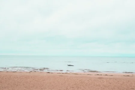 lunaalli •seaside• Εικόνα 2