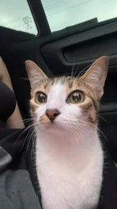 My babies 💕 de LITTLE-VIVI Foto 3