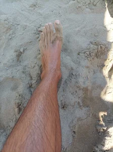 pegaso369 Public รูป  3