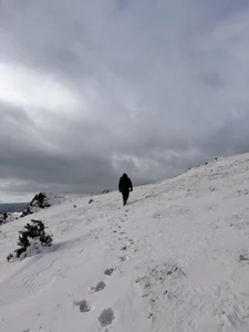 Heliero Public Immagine  5