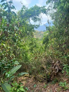 NayadeWelcome图片 2