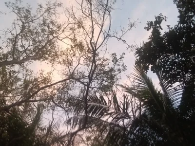 shanu2002 Sss Hình 3