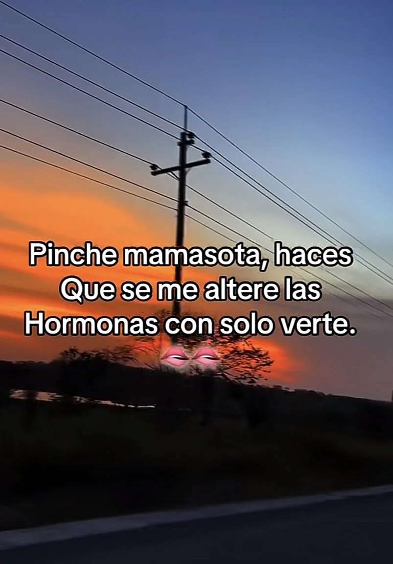 Mellvinn Public Kuva 2