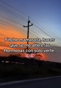 Public od Mellvinn  4 snímek