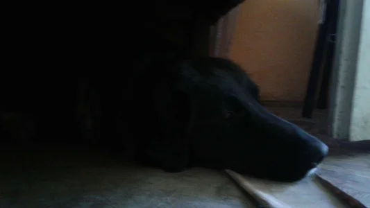 ExquisiteMature The monster under my bed Poză 5