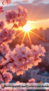 DorothyJones and wbu spring? Pic 2