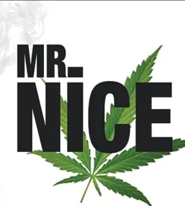 MonKeeees Public รูป  3