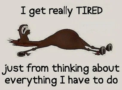 Aashikalaa Public Pic 7