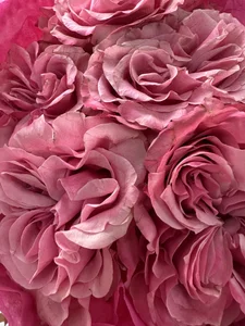 Kimsweet7 Flowers💐 Immagine 