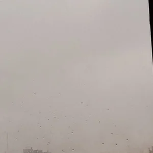 FKF2004 Public Poză 4