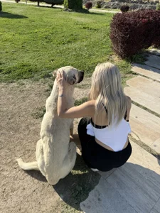 MaryHols Public Εικόνα 5