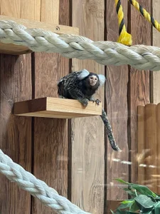 beril_kiss- Zoo Pic 2