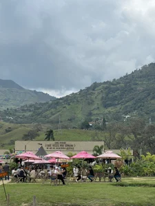 Shirleytaylor- 🌄 Pic 5