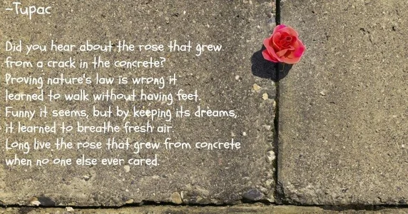 Favorite Quotes od victorialotus  2 snímek