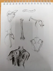 my drawings od Linaaly  snímek