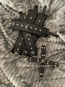 Exotic-Art Toys Pic 3