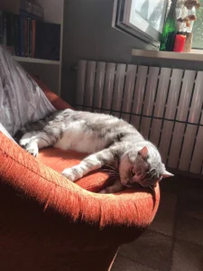 luna_berryy my little bun 😼 Pic 9