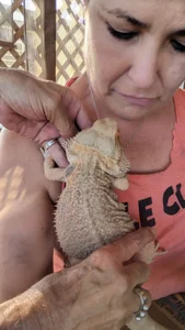 TexaSMESS_37のPublicの 8枚の写真