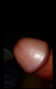 Blaximental2202 Public Εικόνα