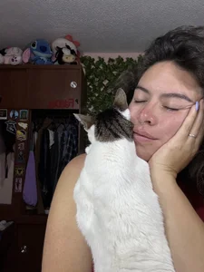 Katheerine My cats! 🐱🐱 Pic 2