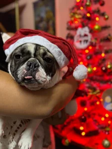 jimenamime Lo mejor de mi vida ELLA 💕🐾 Pic 4