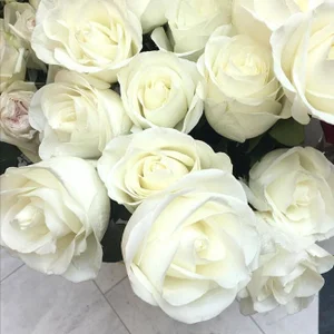 Beyond_Cuteness_のThing That Makes Me Happyの 6枚の写真