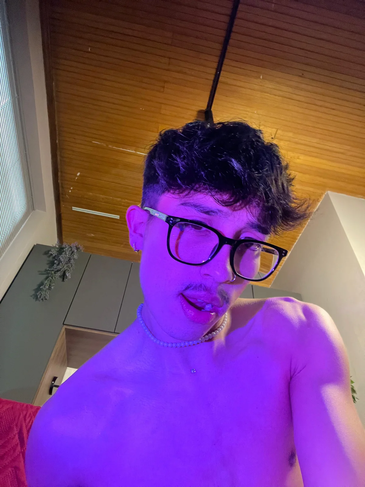 tim__fox  2737. kiemelt képe