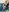 Victoria_collins_1's photo