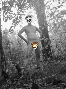 FastBoy00 Sneak peak for my other album " naked in woods" зображення 2