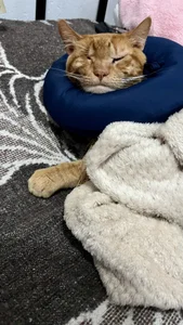 Kat_Art My adopted angels Pic 9