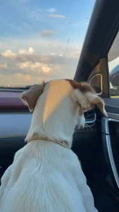 Airyhill My sweet soul Foto 4