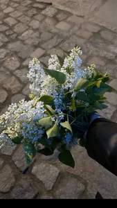 MaryMurray 💄💋👄 Immagine 