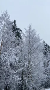 BrightDaniのPublicの 4枚の写真