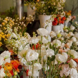 Gatomoney Public 圖片 4