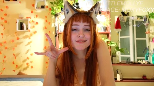 ur dream de LittleFoxHole  Imagens