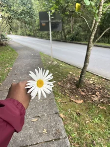 georgis__ EBONY 🔥 Foto 6