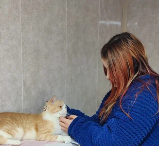 Silvia_Santorskii animal shelter Foto 7