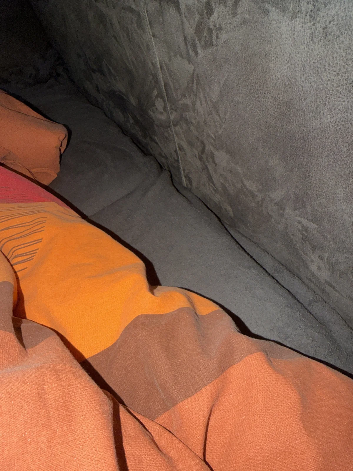 Jangroll24 Trending Plaatje 3665