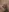 Some cock, ass and body shots :3